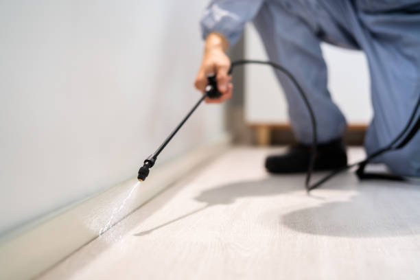 Licensed Fumigation Services service in Walker Mill, MD - Nex Pest Control