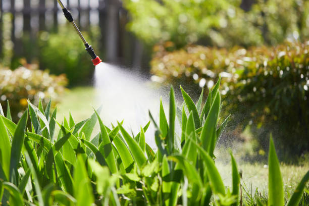 24/7 Emergency Fumigation Services experts in Walker Mill, MD