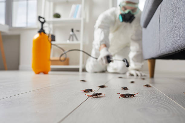 Trusted Bed Bug Control service in Walker Mill, MD - Nex Pest Control