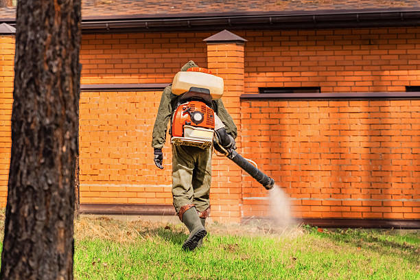 Trusted Termite Control service in Walker Mill, MD - Nex Pest Control